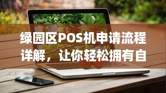 绿园区POS机申请流程详解，让你轻松拥有自己的商业收银神器