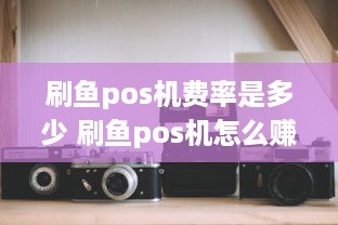 刷鱼pos机费率是多少 刷鱼pos机怎么赚钱