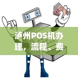 泸州POS机办理，流程、费用及注意事项