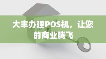 大丰办理POS机，让您的商业腾飞