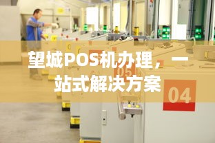 望城POS机办理，一站式解决方案