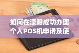 如何在溧阳成功办理个人POS机申请及使用