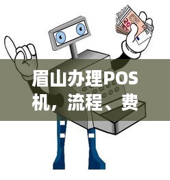 眉山办理POS机，流程、费用及注意事项