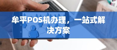 牟平POS机办理，一站式解决方案