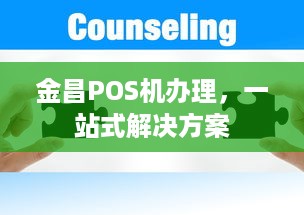 金昌POS机办理，一站式解决方案