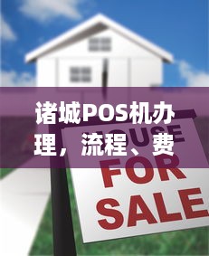 诸城POS机办理，流程、费用及注意事项