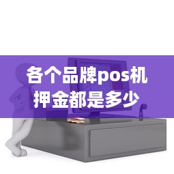 各个品牌pos机押金都是多少 pos机押金298骗局