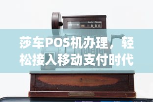 莎车POS机办理，轻松接入移动支付时代