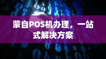 蒙自POS机办理，一站式解决方案