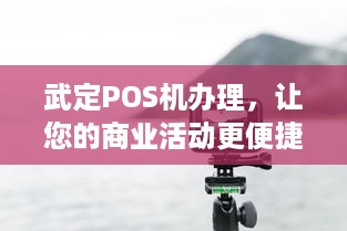 武定POS机办理，让您的商业活动更便捷