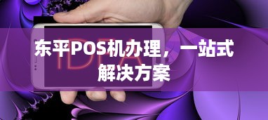 东平POS机办理，一站式解决方案