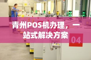 青州POS机办理，一站式解决方案