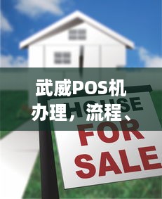 武威POS机办理，流程、费用及注意事项