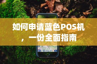 如何申请蓝色POS机，一份全面指南