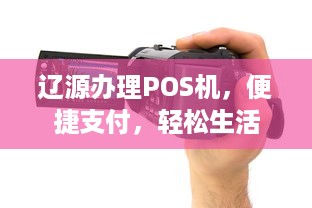 辽源办理POS机，便捷支付，轻松生活