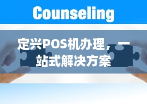 定兴POS机办理，一站式解决方案