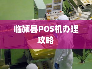 临颍县POS机办理攻略