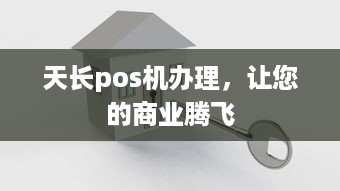 天长pos机办理，让您的商业腾飞