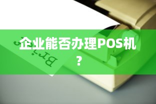 企业能否办理POS机？