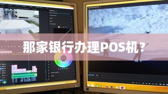 那家银行办理POS机？