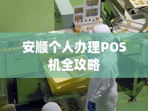 安顺个人办理POS机全攻略