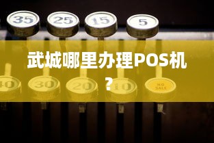 武城哪里办理POS机？