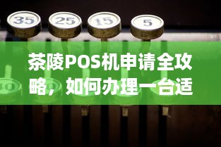 茶陵POS机申请全攻略，如何办理一台适合自己的POS机