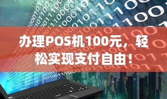 办理POS机100元，轻松实现支付自由！