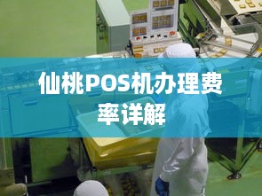 仙桃POS机办理费率详解