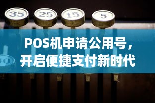 POS机申请公用号，开启便捷支付新时代