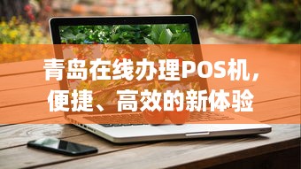 青岛在线办理POS机，便捷、高效的新体验