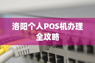 洛阳个人POS机办理全攻略