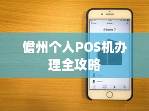 儋州个人POS机办理全攻略