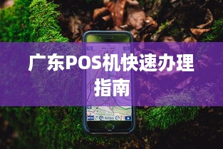 广东POS机快速办理指南