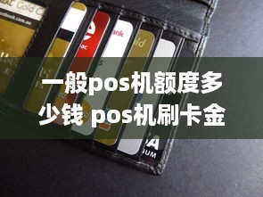 一般pos机额度多少钱 pos机刷卡金额多少合适