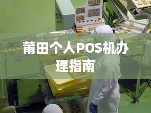 莆田个人POS机办理指南