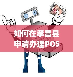 如何在孝昌县申请办理POS机？详细步骤解析