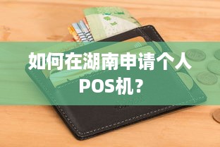 如何在湖南申请个人POS机？