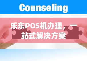 乐东POS机办理，一站式解决方案