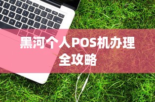 黑河个人POS机办理全攻略