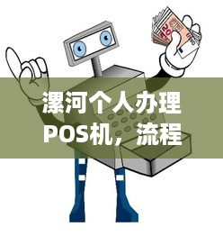 漯河个人办理POS机，流程、费用及注意事项