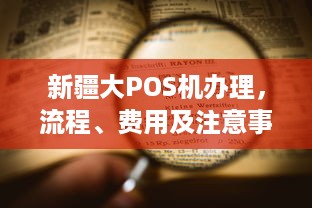 新疆大POS机办理，流程、费用及注意事项