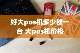 好大pos机多少钱一台 大pos机价格