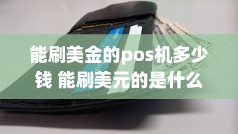 能刷美金的pos机多少钱 能刷美元的是什么pos