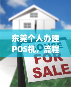 东莞个人办理POS机，流程、费用及注意事项