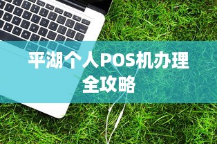 平湖个人POS机办理全攻略