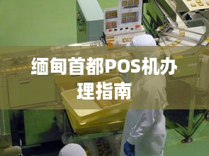 缅甸首都POS机办理指南