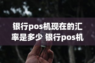 银行pos机现在的汇率是多少 银行pos机现在的汇率是多少钱