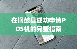 在铜鼓县成功申请POS机的完整指南