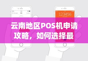 云南地区POS机申请攻略，如何选择最适合您的POS机